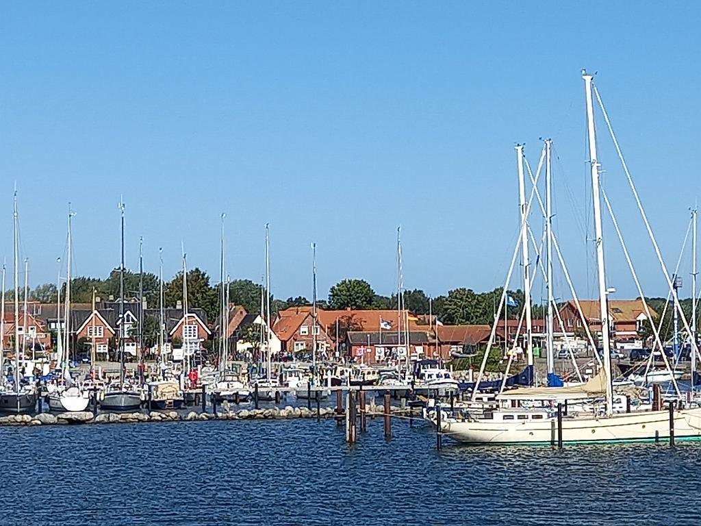 SchleswigKappeln (123)